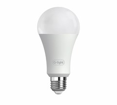 LED ENCE A70 20W 6500K E27 G-LIGHT