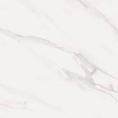 CERAMICA POINTER 60X60 CARRARA STATUARIO 2,53M