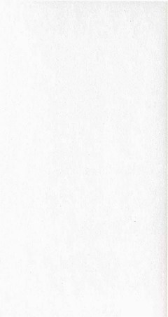 CERAMICA CERBRAS 32X65 AURORA BRANCO 2,26