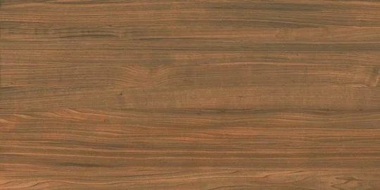 PORCELANATO ELIZABETH ESMALTE 18X74 WOOD SORO 1,62M PORCELANATO ELIZABETH ESMALTE 18X74 WOOD SORO 1,62M